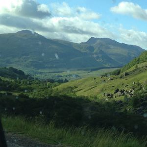 Meet your Posher, Marsha